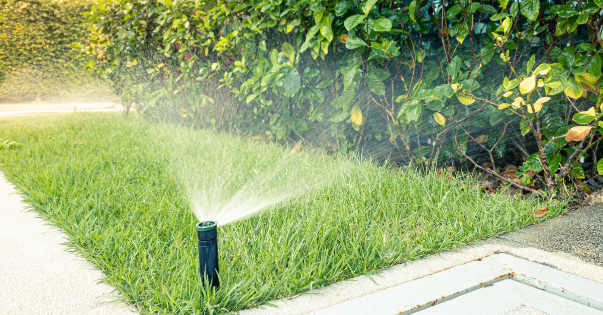 Why Professional Lawn Sprinkler Systems Save Time, Money, and Water