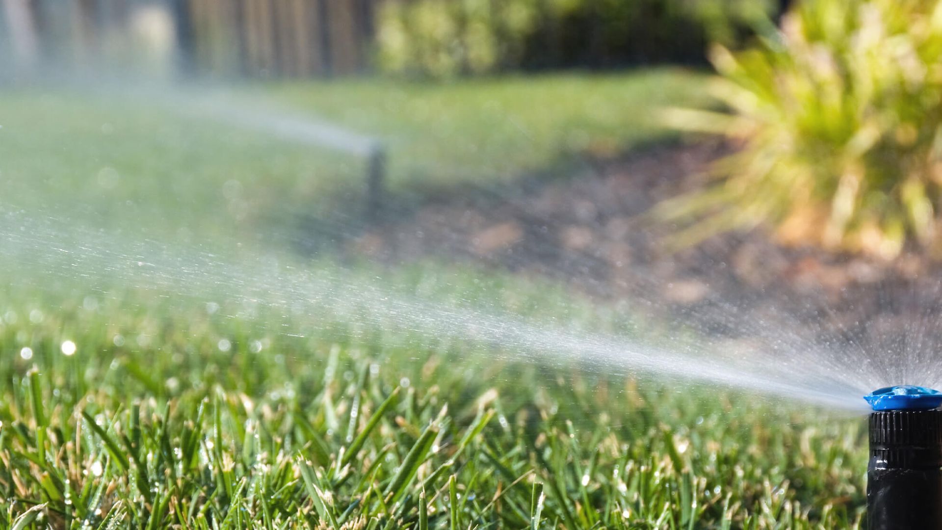 A sprinkler system watering grass