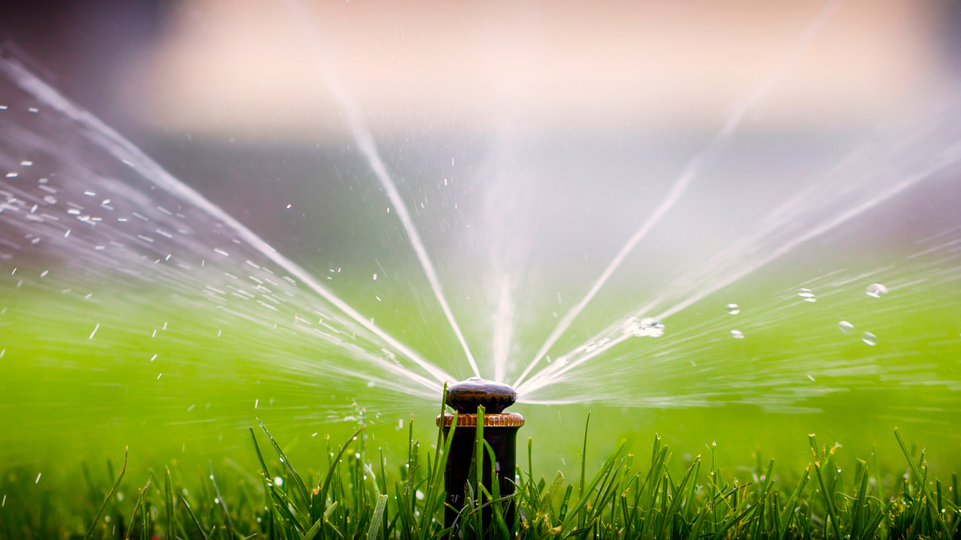 A sprinkler system activated, watering the lawn