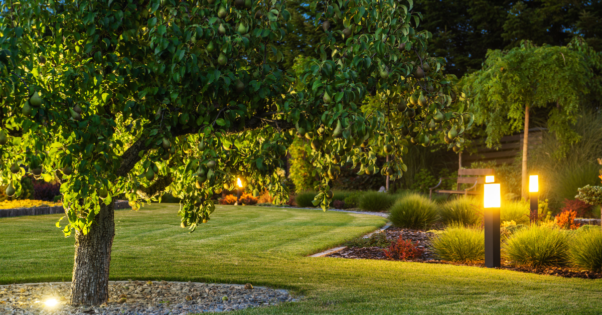 Transform Your Outdoor Space: 7 Landscape Lighting Ideas for Summer Nights