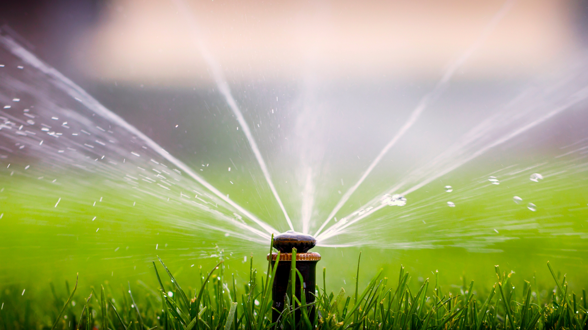 Enhance Your Southern Ontario Home with Expert Lawn Sprinkler Installation