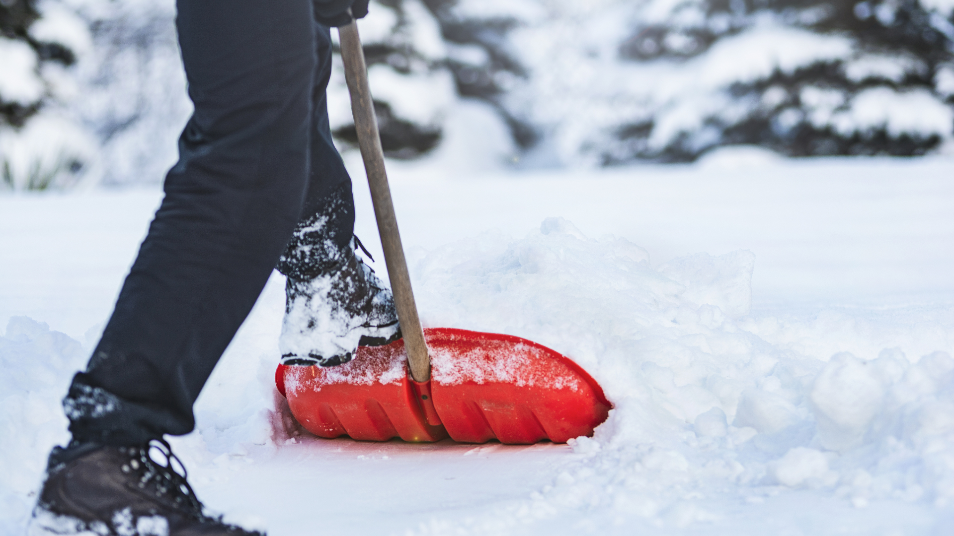 a person shovelling snow with a red shovel