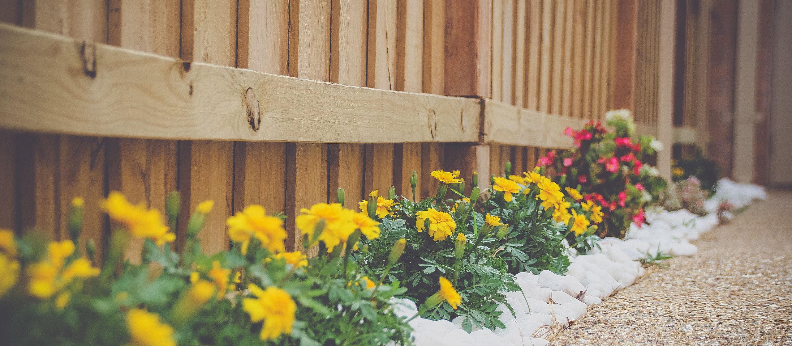 wood fence