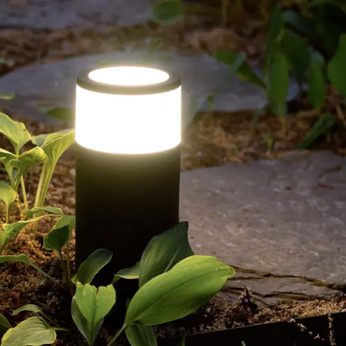 Services Light