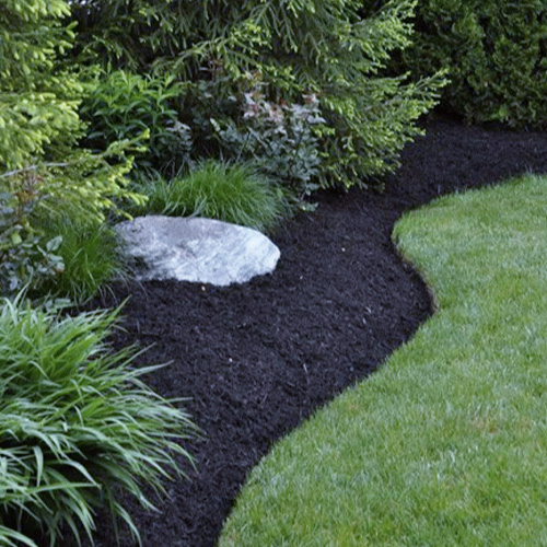 Services Mulch