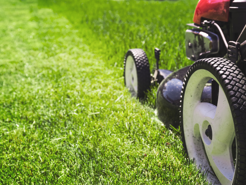 Lawnmower set to proper fall cutting height for Ontario lawns