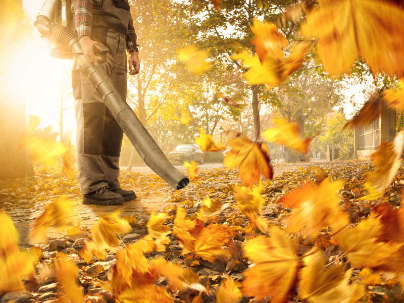 fall leaf removal with a blower